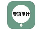 高新專項審計